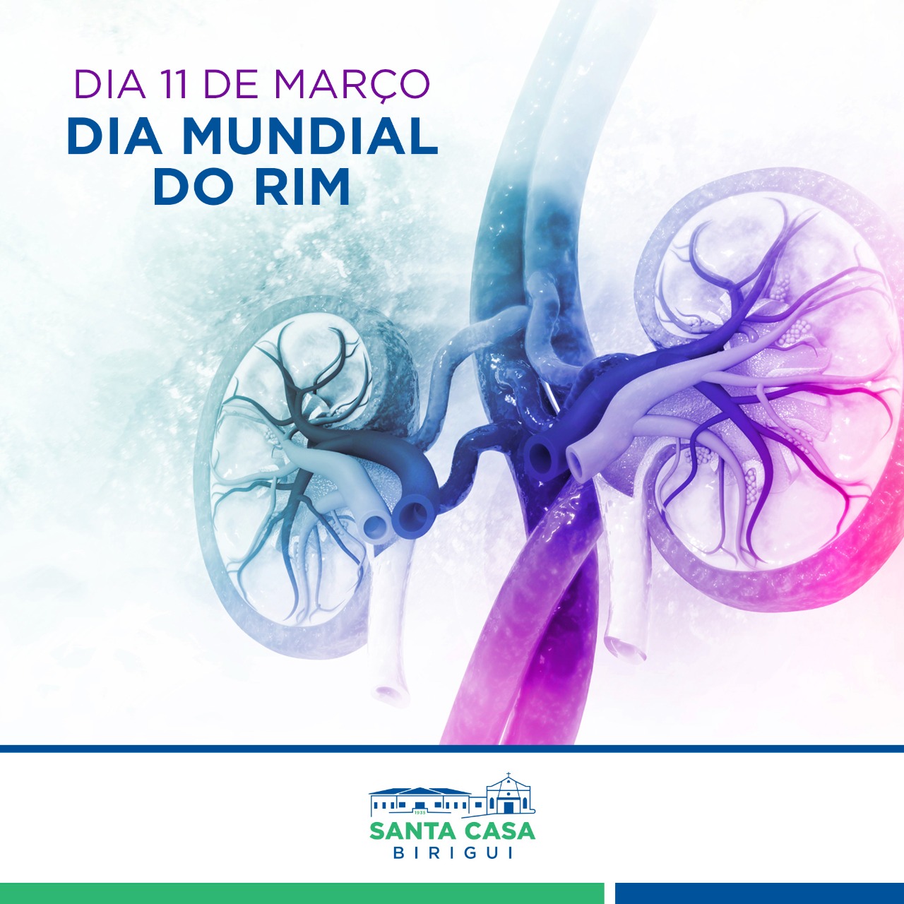 Dia Mundial do Rim
